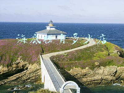 海底捞在哪里有店分别在哪里；海底捞在哪里有店?分别在哪里?