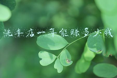 洗车一年能挣多少 洗车店一年利润有多少