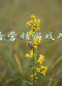 抖音小游戏入口电脑版(抖音解谜游戏知识就是力量第一关通关攻略 知识就是力量第一关怎么过)