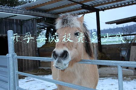 开孕婴店利润怎么样：开孕婴店利润