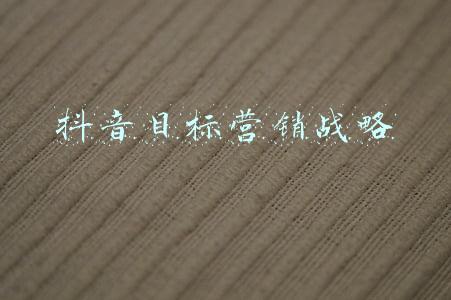 目标市场营销战略包括(西平县委书记李全喜到豫坡集团调研)