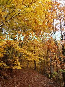 旅游直播怎么赚钱(现在做旅游自媒体还赚钱吗？为什么很多博主都停更了？干货揭秘)