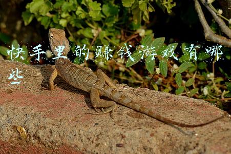 快手里的赚钱游戏有哪些