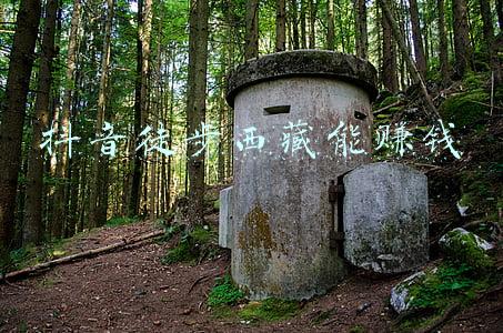 抖音徒步西藏能赚钱