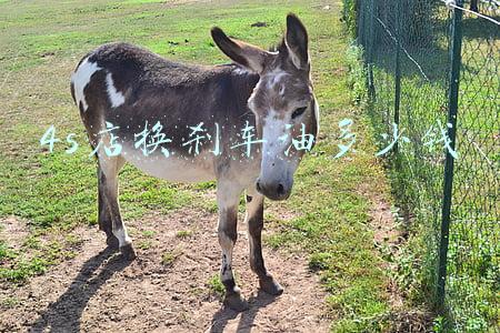 4s店更换刹车油多少钱-4s店换刹车油要多少钱