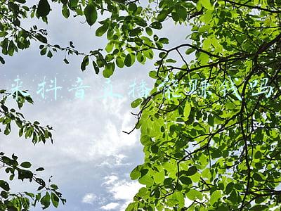 来抖音直播能赚钱吗