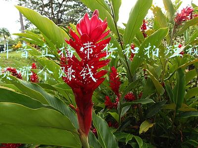 直播带货的益处(日精进381-直播的价值和意义)