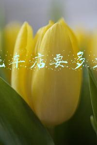 开洗车店要多少钱赚不赚钱《开洗车店挣钱吗》