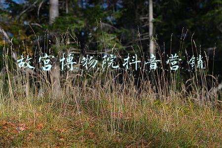 故宫博物院微博营销案例(暴增400%成天猫双11最大黑马之一 博物馆文创产品让文物“活”起来)