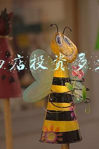 开个宠物店多少钱 开个宠物店需要多少资金