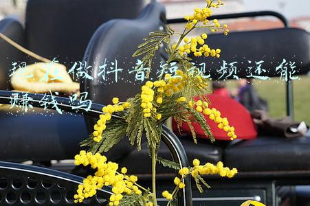 现在做抖音短视频还能赚钱吗