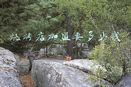 烧烤店加盟手册(特色烧烤店加盟连锁)