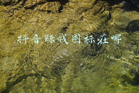 抖音极速版赚钱的图标怎么没有了(抖音66元生活费图标怎么没了 图标不显示如何调出来)
