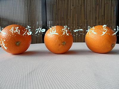 火锅店加盟费大概多少钱四川-火锅店加盟费大概多少钱