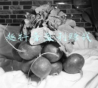 趣抖音盈利赚钱