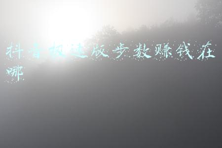 抖音极速版步数赚钱在哪