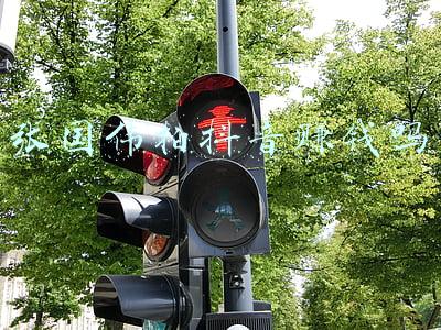 张国伟拍抖音赚钱吗