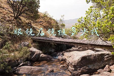 一个眼镜框大概多少钱_眼镜框一般多少钱一个