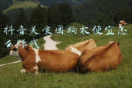 抖音美食团购入口(一克商评丨抖音内测团购，背后是建立本地生活业务版图的野心)