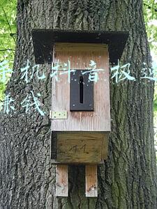 苹果手机抖音支付失败(抖音平台货款冻结怎么回事？)