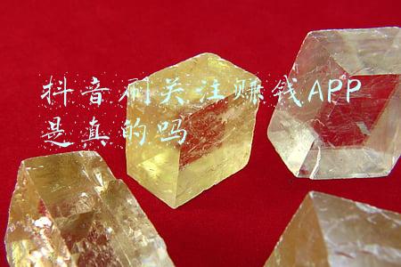 抖音刷关注赚钱APP是真的吗