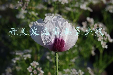 开美发店需要什么证；开美发店需要什么证件三证合一