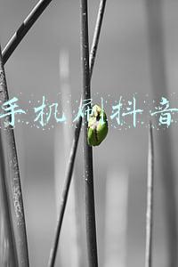 苹果手机刷抖音赚钱