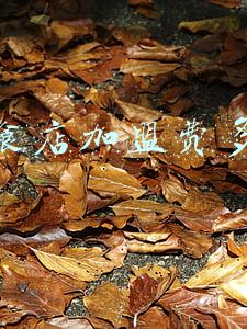 一扫光零食店加盟费多少；一扫光零食店加盟费多少?利润大吗
