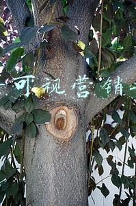 可视营销服务平台(一年卖2.5亿元杜蕾斯，醉清风冲击“情趣用品第一股”，自曝刷单另有隐情？)