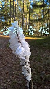 店铺营销方案(门店引流实操方案六大招，让你的店铺获得高人气、高转化)