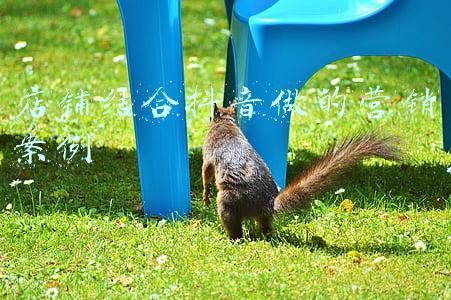 淘宝店铺营销案例(淘宝店铺成功打造爆款的正确操作思路，方向不对再多努力也是白费)