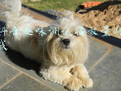 职业规划趣味测试(90条职业兴趣测试题，建议收藏！将来报志愿、选职业大有裨益)