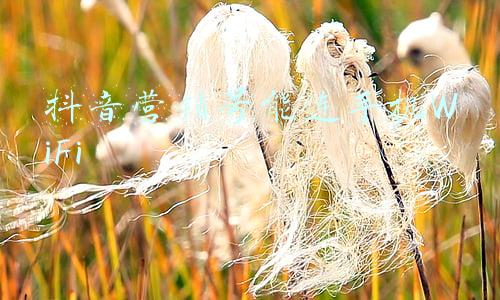 抖音绑定手机号有啥用(「电商知识」抖音账号7天养成技巧)