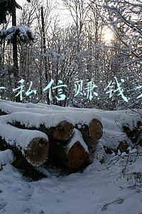 抖音私信赚钱方法