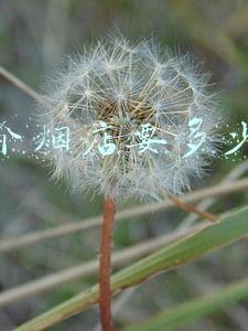 开个电子烟店要多少钱，开烟店能赚钱嘛