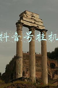 抖音挂机赚每小时80(点赞，播放，自动化挂机赚Q软件 每天挂机都能挣个十来块)