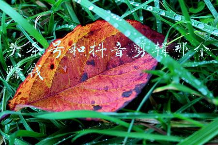 头条号和抖音剪辑那个赚钱