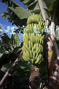 抖音小程序变现真的能赚钱吗(说说抖音挣钱变现的坑)