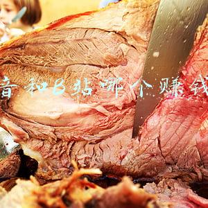 抖音和B站哪个赚钱快
