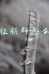 抖音拉新群怎么赚钱
