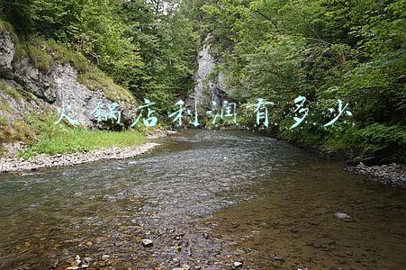 火锅店的利润率大概多少_火锅店利润率一般是多少