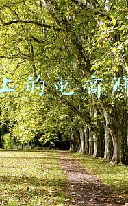 做抖音电商需要多少资金(新手做抖音小店无货源需要多少资金？后续运营费用包括哪些？)