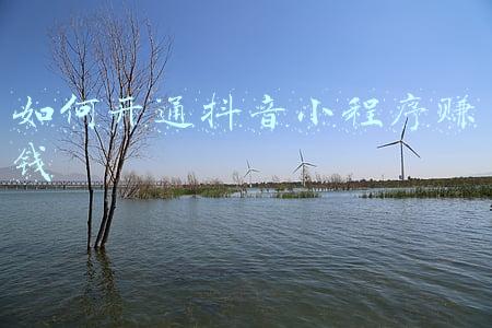 如何开通抖音小黄车功能(怎么把自己的商品加入抖音小黄车，抖音小黄车开通教程)