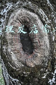理发店软化头发多少钱(一般理发店软化头发多少钱)