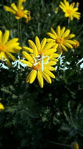 抖音做水印怎么赚钱