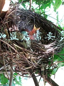 开茶叶加盟店 茶叶加盟