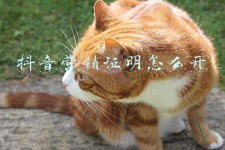 内容营销外部证明法(内容营销的三种类型与五个步骤)
