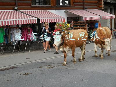 电商运营逆思维