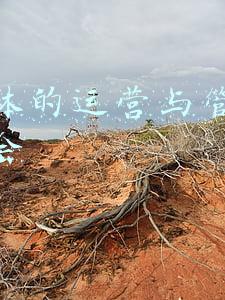 新媒体运营工作心得(22岁碰壁：开始三天新媒体运营，视频号+公众号心得总结)