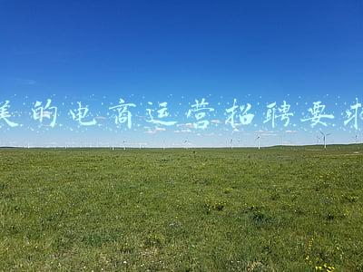 美的电商运营招聘要求